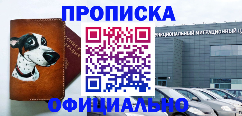 временная прописка в Камышине